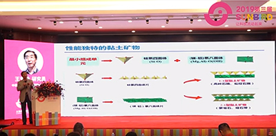 2019第三屆太陽鳥畜牧產業(yè)無抗發(fā)展大會（王愛勤研究員報告）